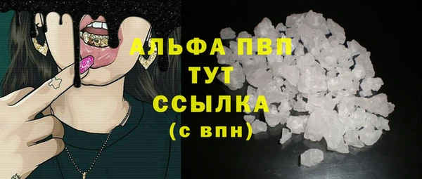стаф Надым