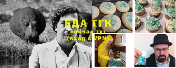 стаф Надым